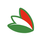 Brighi Group